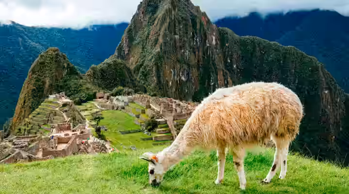 Inolvidable Cusco VIP 4D/3N